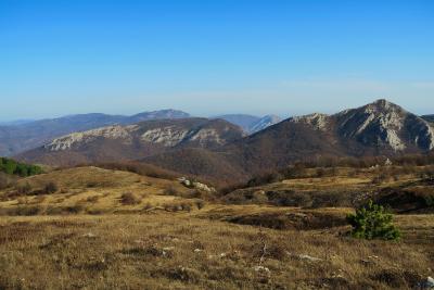 Прикрепленное изображение: IMG_1365+.jpg